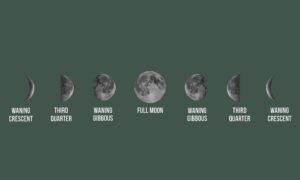 Why Does Moon Looks Different Each Night? Explained