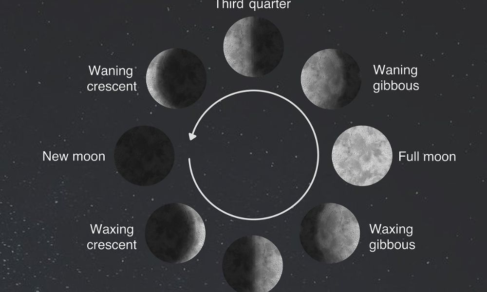 Diagram of the 8 Moon phases including new moon, waxing crescent, first quarter, waxing gibbous, full moon, waning gibbous, third quarter, and waning crescent