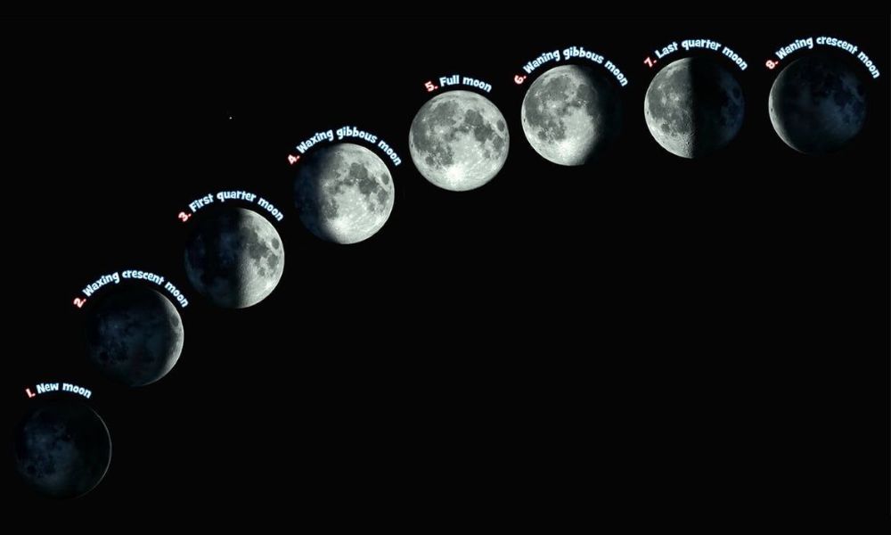 Diagram showing the 8 moon phases including new moon, waxing crescent, first quarter, waxing gibbous, full moon, waning gibbous, last quarter, and waning crescent